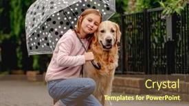  Presentation with rainy day - Presentation featuring preteen-girl-with-golden-retriever background and a tawny brown colored foreground