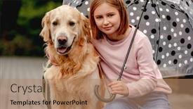  Presentation with rainy day - Presentation theme consisting of preteen-girl-with-golden-retriever background and a coral colored foreground