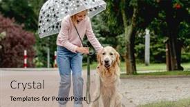  Presentation with rainy day - Presentation theme enhanced with preteen-girl-with-golden-retriever background and a coral colored foreground