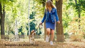  Presentation with beagle dog - Presentation theme having pretty blond girl running with beagle dog in sunshine autumn park background and a coral colored foreground
