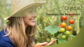  Presentation with tomato plant - PPT theme featuring pretty-blonde-looking-at-tomato background and a mint green colored foreground