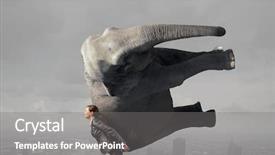  Presentation with lifting people up - Slide deck consisting of pretty elegant businesswoman lifting heavy background and a gray colored foreground