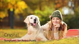  Presentation with dog park - Presentation design with casino gambling chips in black plastic container isolated on white background background and a light gray colored foreground