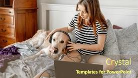  Presentation with study - Slide deck featuring pretty-girl-and-golden-retriever background and a violet colored foreground