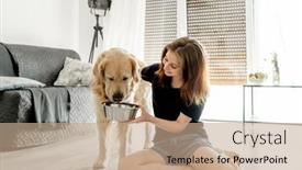  Presentation with pretty girl - Presentation with pretty-girl-with-golden-retriever background and a coral colored foreground
