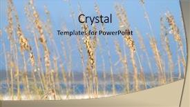  Presentation with ocean - Cool new presentation with pretty sea oats on beach backdrop and a light blue colored foreground