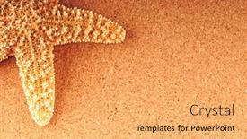  Presentation with tan - Theme enhanced with pretty-starfish-on-tan-textured background and a  colored foreground