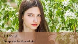  Presentation with cherry blossom - 