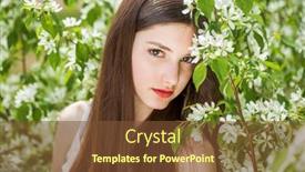  Presentation with cherry blossom - 