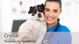  Presentation with veterinary nurse - Slides enhanced with pretty veterinary nurse holding dog background and a soft green colored foreground