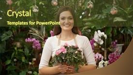  Presentation with azalea - PPT theme featuring pretty young florist holding pot with azalea in greenhouse background and a tawny brown colored foreground