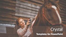  Presentation with horse - PPT theme enhanced with pretty-young-redhead-woman background and a violet colored foreground