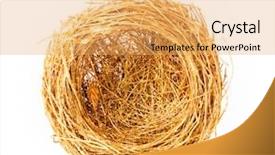  Presentation with white gold - Slides enhanced with priceless - empty gold nest isolated background and a yellow colored foreground