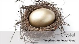  Presentation with gold egg - Presentation enhanced with priceless - gold egg in a real background and a light gray colored foreground