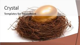  Presentation with gold egg - Cool new presentation design with priceless - gold egg in a real backdrop and a white colored foreground