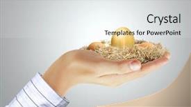  Presentation with egg - Amazing slide deck having priceless - golden egg in hand backdrop and a sky blue colored foreground