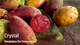 Presentation with pear - Audience pleasing PPT layouts consisting of prickly pear on wood background backdrop and a tawny brown colored foreground
