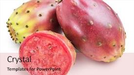  Presentation with fruits - Slide deck with prickly pears or opuntia fruits background and a coral colored foreground