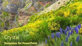  Presentation with europe - Amazing presentation design having pride-of-madeira-echium-fastuosum backdrop and a tawny brown colored foreground