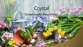  Presentation with gardening tools on fertile soil - PPT theme enhanced with primrose - gardening tools and flowers background and a lemonade colored foreground