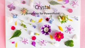  Presentation with tropical leaves and flowers - Colorful presentation enhanced with primrose - spring flowers and leaves backdrop and a lemonade colored foreground