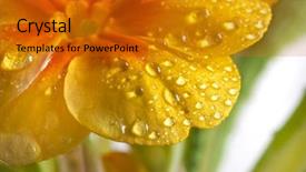  Presentation with water drops - Slide deck featuring online security cyber attack graphic concept background and a gray colored foreground