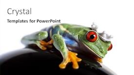  Presentation with princess - Beautiful PPT layouts featuring princess-frog backdrop and a white colored foreground
