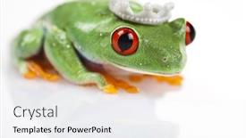  Presentation with princess - 