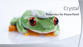  Presentation with princess - Theme enhanced with princess-frog background and a cool aqua colored foreground