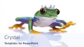  Presentation with princess - Theme having princess-frog background and a sky blue colored foreground