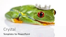  Presentation with princess - Audience pleasing slide deck consisting of princess-frog backdrop and a white colored foreground