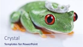  Presentation with princess - 