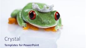  Presentation with princess - PPT theme having princess-frog background and a sky blue colored foreground
