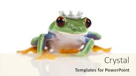  Presentation with princess - Slides featuring princess-frog background and a blonde colored foreground