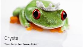  Presentation with princess - 