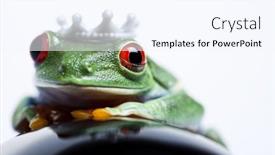  Presentation with princess - PPT theme with princess-frog background and a sky blue colored foreground