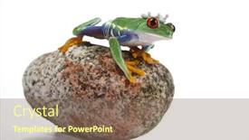  Presentation with princess - PPT layouts with princess-frog background and a violet colored foreground