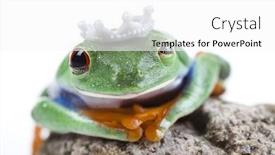  Presentation with princess - Slide deck featuring princess-frog background and a white colored foreground