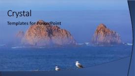  Presentation with seagull - Cool new slides with prision - seagull in berlenga island backdrop and a light blue colored foreground