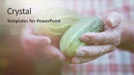  Presentation with fresh man chemistry - Beautiful slide deck featuring probiotic - man holding cucumber pickles fresh backdrop and a soft green colored foreground