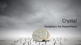  Presentation with human brain - Cool new slide set with problem solver - huge human brain and many backdrop and a light gray colored foreground
