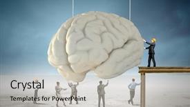  Presentation with human brain stroke - Slides with problem solver - huge human brain and many background and a  colored foreground