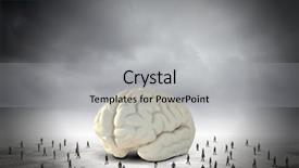  Presentation with human brain - Slides having chemical lab serious handsome smart scientist holding a flask and looking at the blue liquid in it while working in the chemical lab background and a light blue colored foreground.