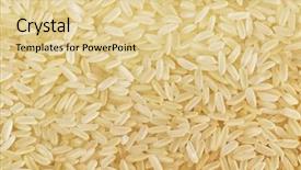  Presentation with rice grain - Amazing PPT theme having process food whole food - background of parboiled long grain backdrop and a blonde colored foreground