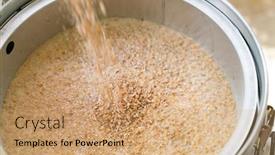  Presentation with craft beer - PPT layouts having process-of-home-brewing-beer background and a coral colored foreground