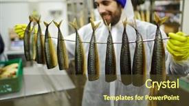  Presentation with wire less power transfer for solar power satelite - Colorful PPT theme enhanced with process plants - appetizing smoked mackerels hanging backdrop and a tawny brown colored foreground