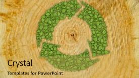  Presentation with tree rings - Amazing theme having process rings - cross section of tree trunk backdrop and a yellow colored foreground