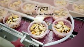  Presentation with plastic containers - Cool new PPT theme with processed mussels in uncovered plastic backdrop and a coral colored foreground