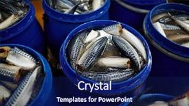  Presentation with ready - Amazing slide deck having processing preserves - preserved mackerels in blue plastic backdrop and a navy blue colored foreground
