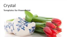  Presentation with dutch - Slides with products with clogs and tulips background and a  colored foreground